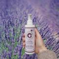 Body Lotion Organic Lavender