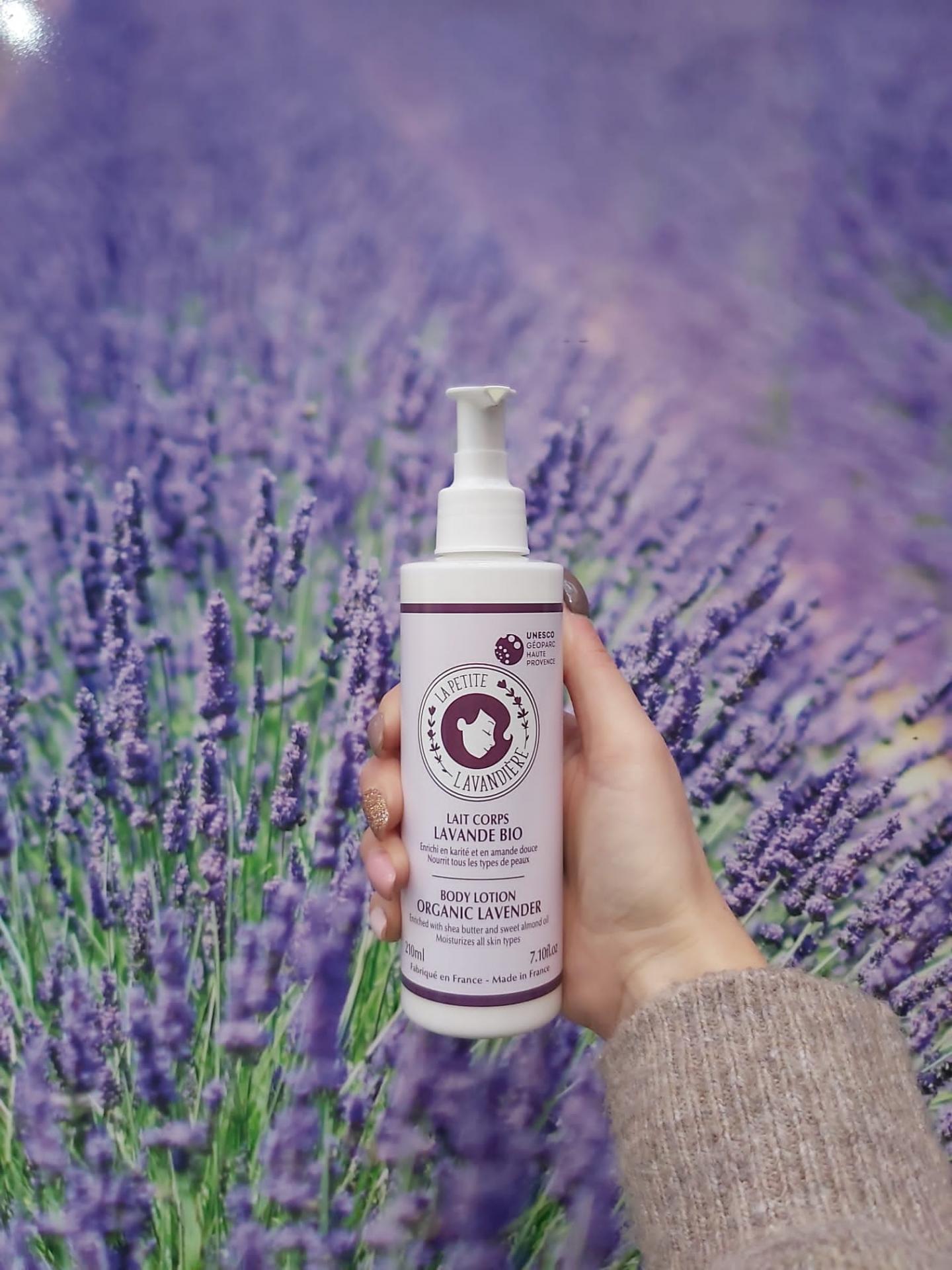 E7a185f6 ddf4 4b8c aa69 59c84a7933d0