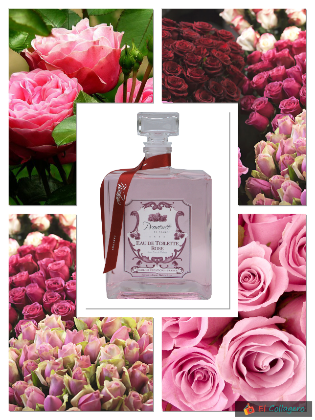 Eau de rose nicolosi