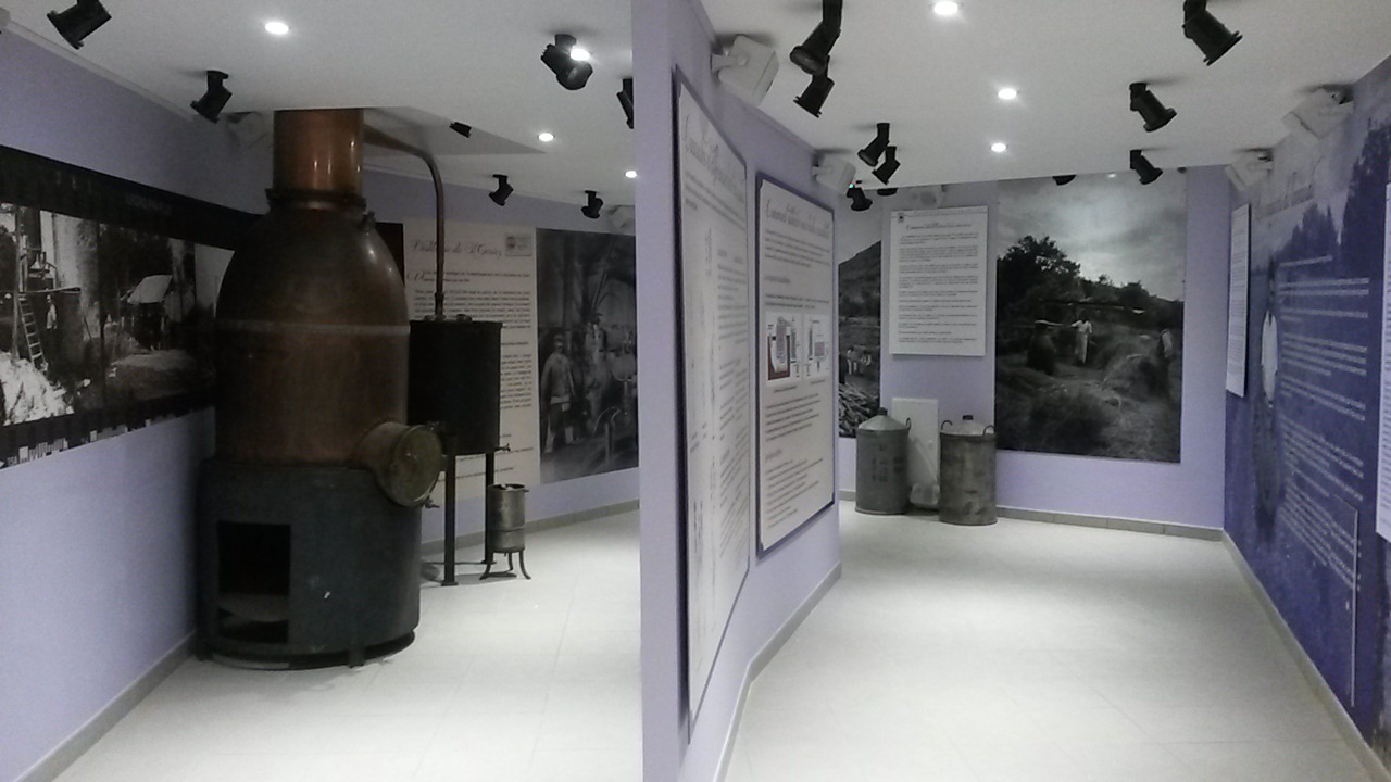 Musee lavande digne 1