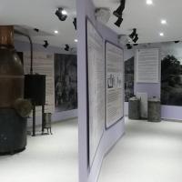 lavender museum digne