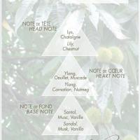 Chestnut leaf scent pyramid