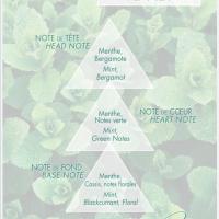 Mint tea scent pyramid