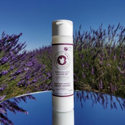 Shampoo Organic Lavender